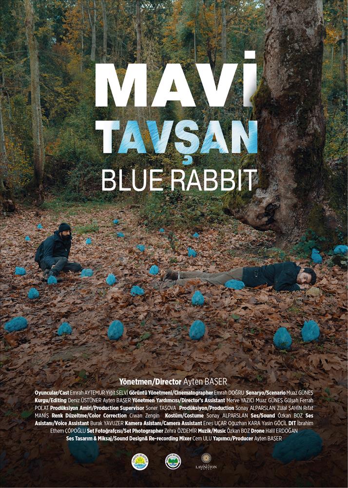 "Mavi Tavşan" Finalde!