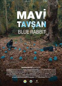 "Mavi Tavşan" Finalde!